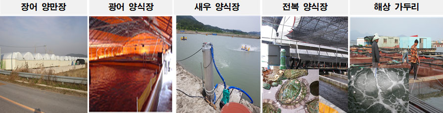 제품사진